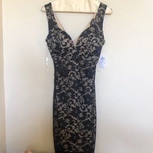 Windsor Lace dress